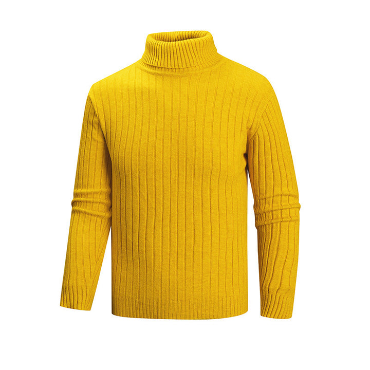 Herren Rollkragenpullover aus hochwertigem Feinstrick Echoarchiv