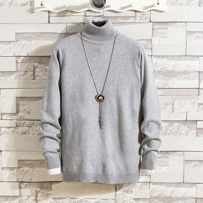 Herren Rollkragenpullover aus hochwertigem Strickmaterial Echoarchiv