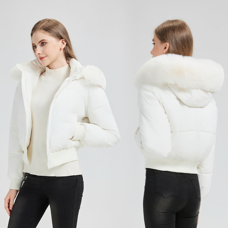 Damen Kurz‑Bomber‑Pufferjacke mit Kapuze und abnehmbarem Kunstfellkragen Echo Archiv