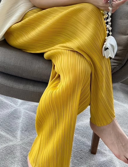 Damen Elegante Plisseehose Echoarchiv
