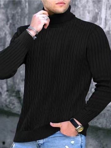 Herren Rollkragenpullover mit strukturiertem Strickmuster Echoarchiv