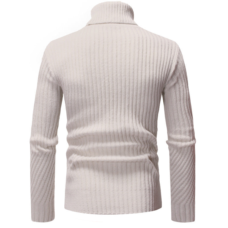 Herren Modischer Rollkragenpullover mit strukturiertem Design Echoarchiv