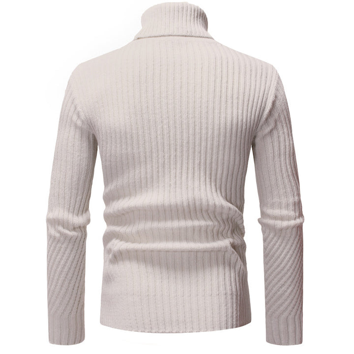 Herren Modischer Rollkragenpullover mit strukturiertem Design Echoarchiv