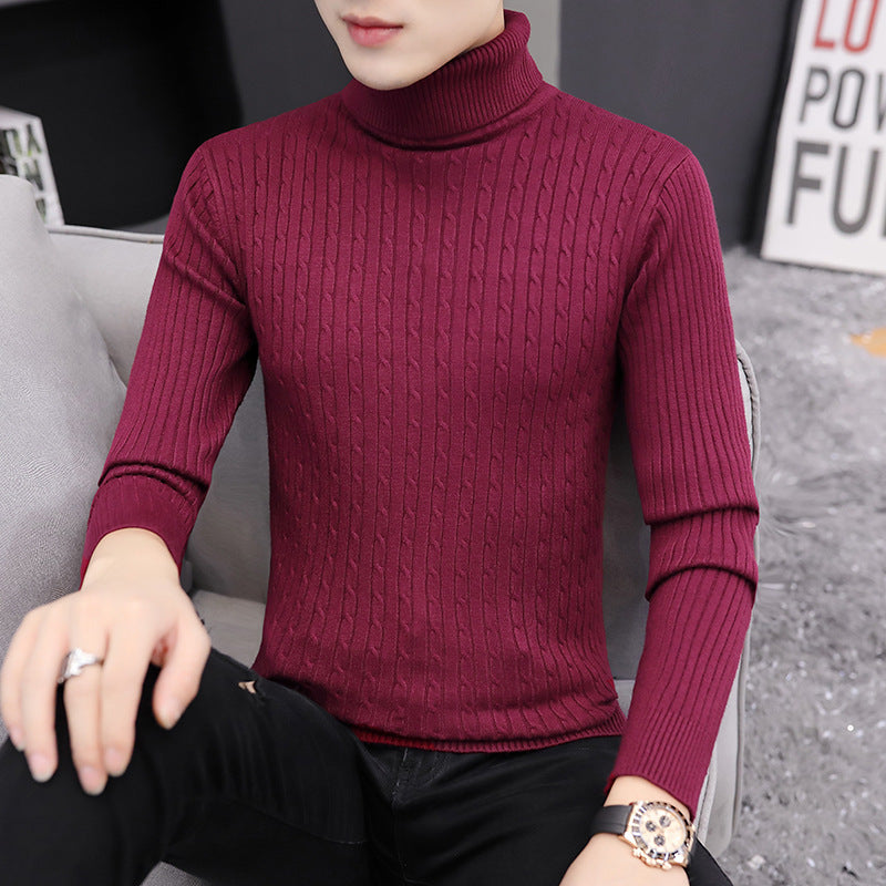 Herren Rollkragenpullover im stilvollen Rippstrickdesign Echoarchiv