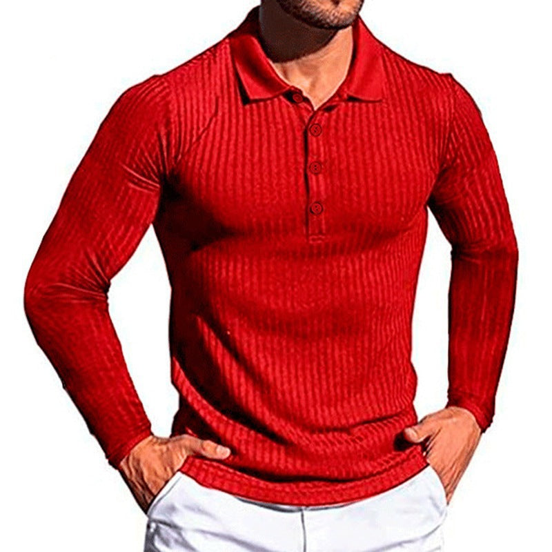 Herren Langarm Poloshirt mit strukturiertem Design Echoarchiv