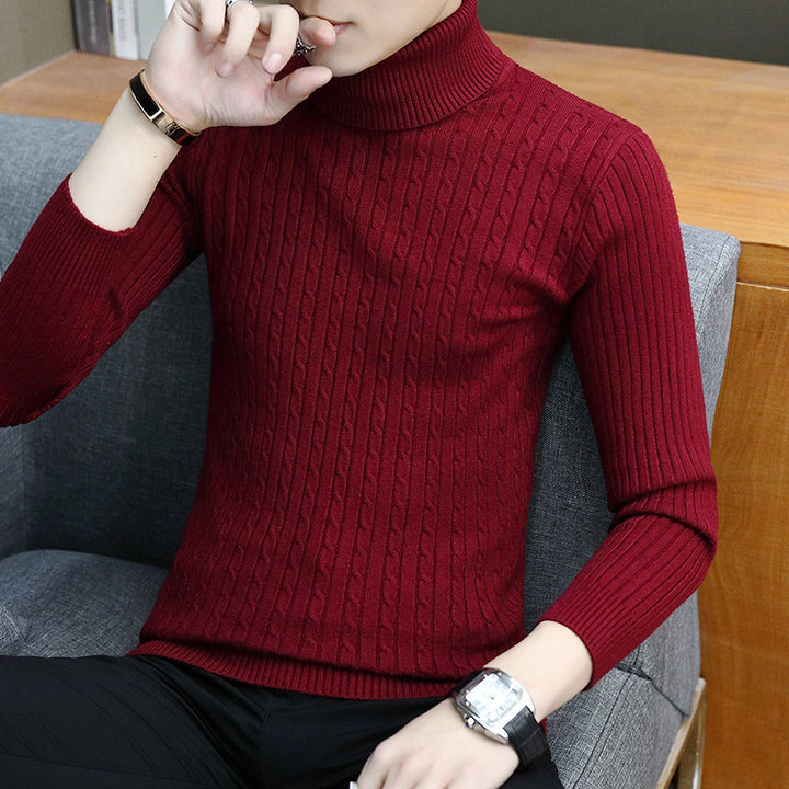 Herren Feinstrick Rollkragenpullover Echoarchiv