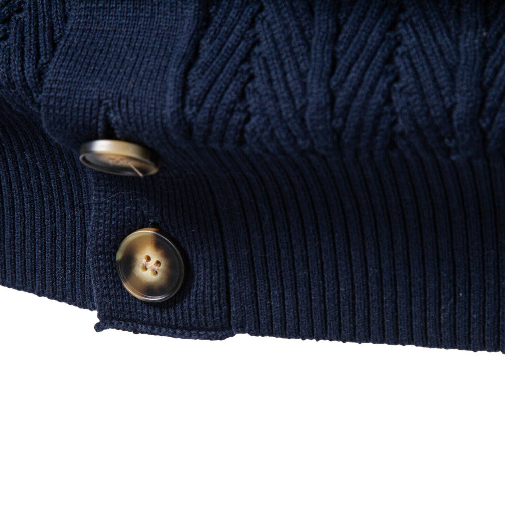 Herren Feinstrick-Button-Cardigan mit Zopfmuster und Stehkragen Echoarchiv