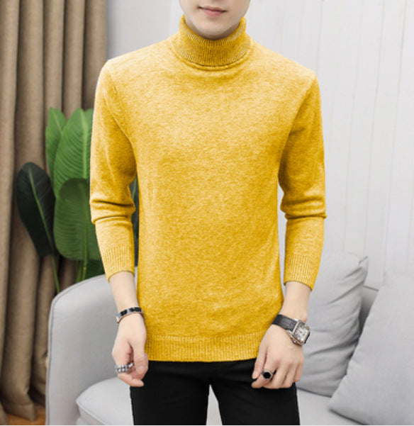 Herren Rollkragenpullover aus hochwertiger Baumwolle Echoarchiv