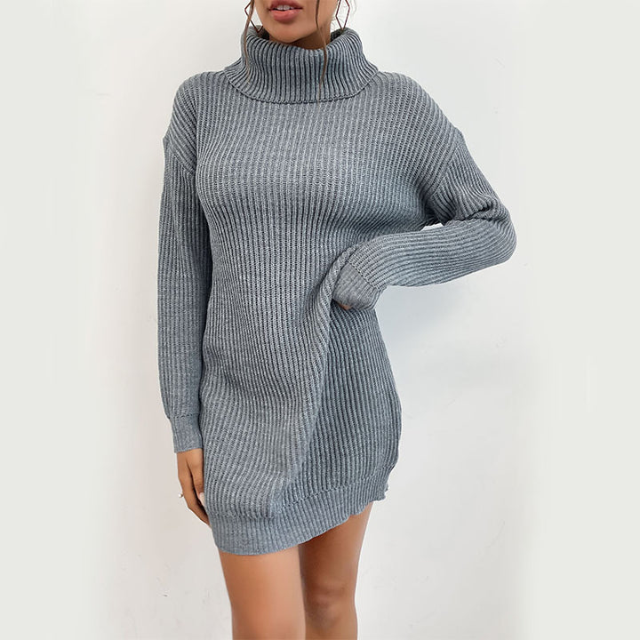 Damen Feines Rippen-Strickminikleid mit hohem Rollkragen Echoarchiv