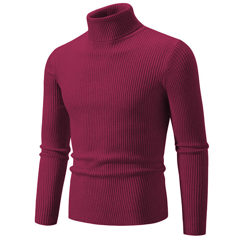 Herren feiner Rollkragenpullover aus langlebigem Strickmaterial Echoarchiv