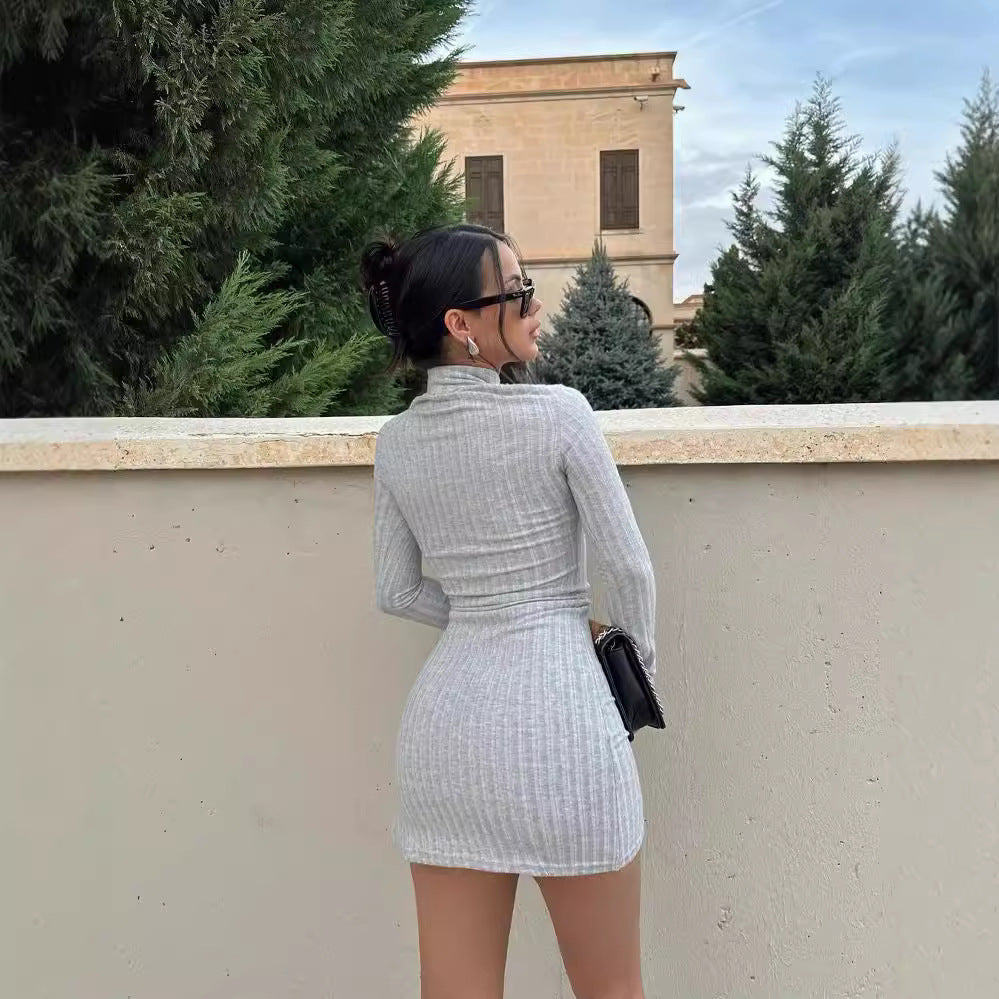 Damen Enganliegendes Rippstrick-Minikleid mit Rollkragen und langen Ärmeln Echoarchiv