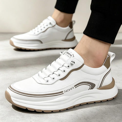 Herren Klassische Komfort-Sneaker Echoarchiv