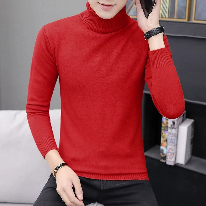 Herren bequemer Rollkragenpullover Echoarchiv