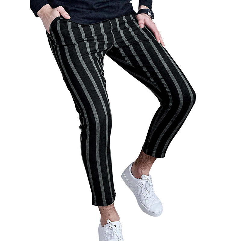 Herren Freizeithosen im modernen Streifenlook mit elastischem Bund Echoarchiv
