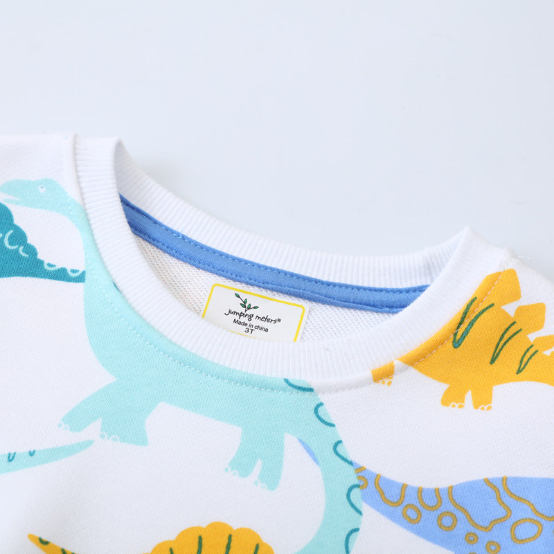 Jungen Sweatshirt mit buntem Dinosaurier-Design Echo Archiv