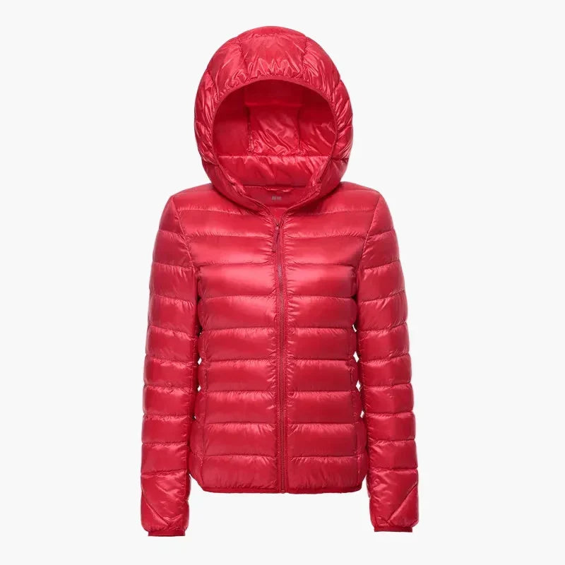 Echo Archiv | Steppjacke mit Kapuze - Leichte Übergangsjacke für Alltag und Outdoor