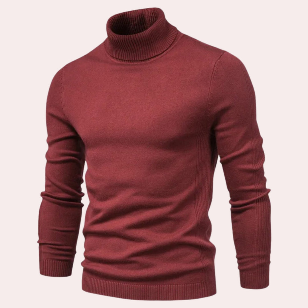 Echoarchiv | Lässiger Herren Rollkragenpullover