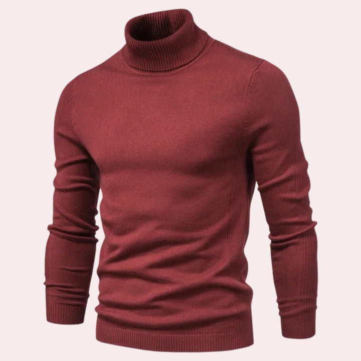 Echoarchiv | Lässiger Herren Rollkragenpullover