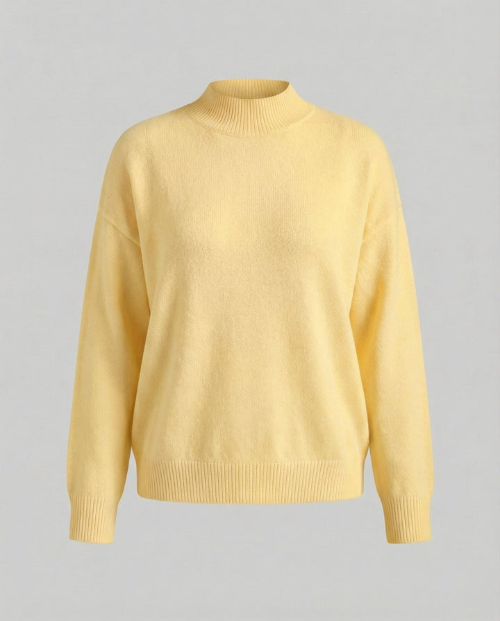 Echoarchiv | eleganter Rollkragenpullover