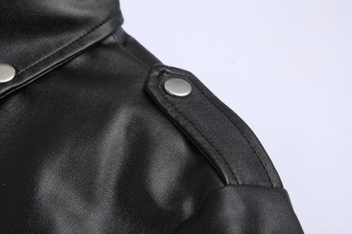 Echoarchiv | Slim Fit Leder Motorradjacke für Herren mit Stehkragen
